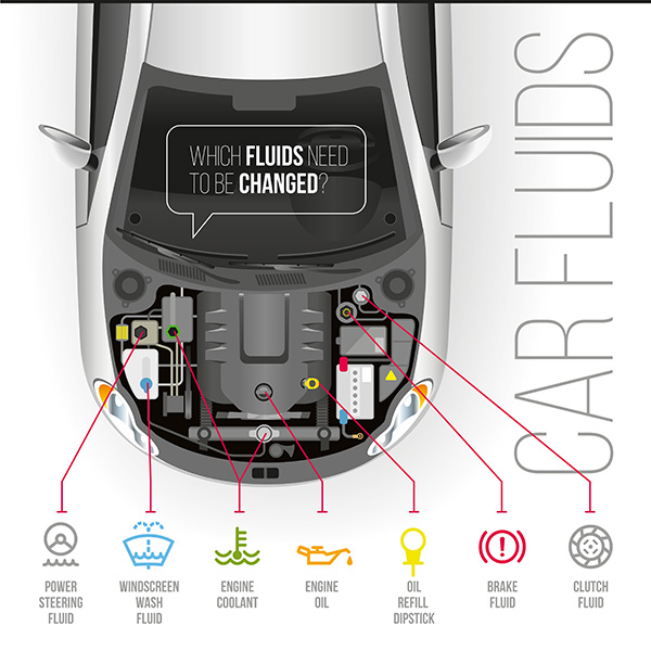 What Fluids Are Essential for Your Vehicle’s Wellness? | Aurora AutoPros